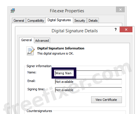 Screenshot of the Wang Nan certificate